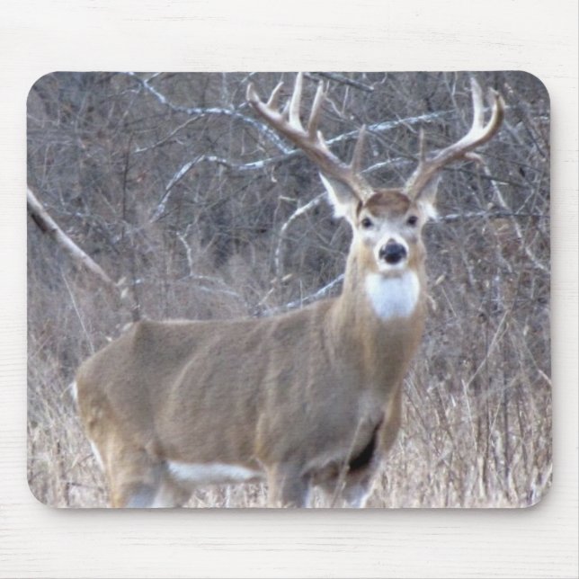 MOUSEPAD IMG_0327 (Frente)