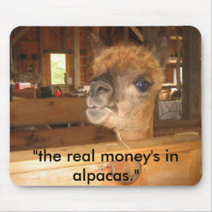 Mousepad IMG_0591, "o dinheiro real nas alpacas. "