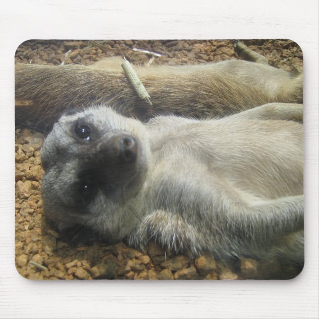 MOUSEPAD IMG_2196 (Frente)