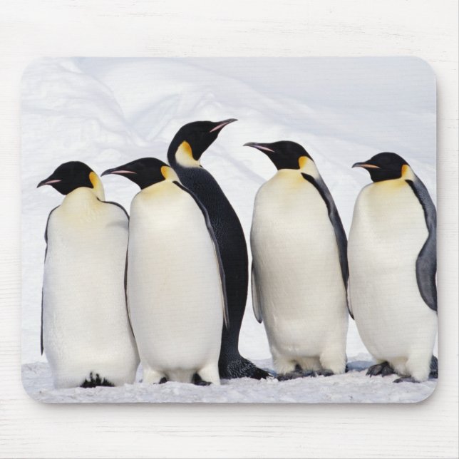 Mousepad Imperador Penguins (Frente)