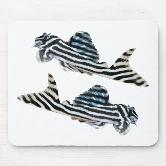 Mousepad “Imperial Zebra Pleco”の優良製品 (Frente)