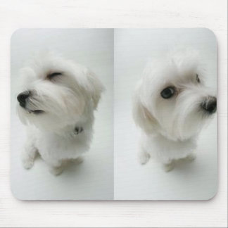 Mousepad impertinente-filhotes de cachorro