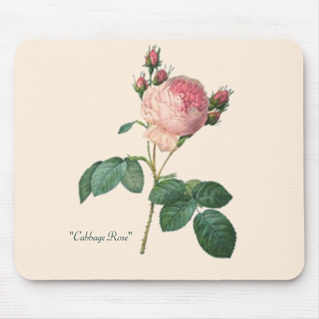 Mousepad Impressão botânico do rosa da couve (Frente)