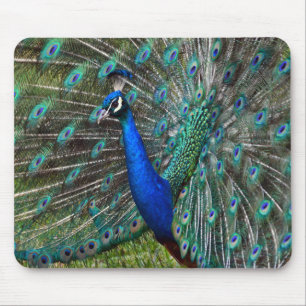 Mousepad Impressão colorido do pavão