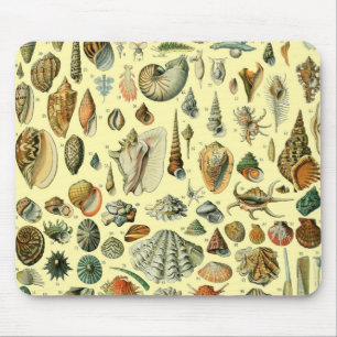 Mousepad Impressão de Conchas Vintage Adolphe Millot Costei