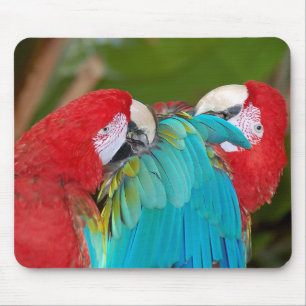 Mousepad impressão de papagaios vermelhos e azuis