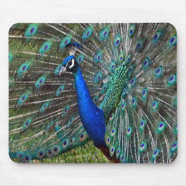 Mousepad Impressão de pavão colorido (Frente)