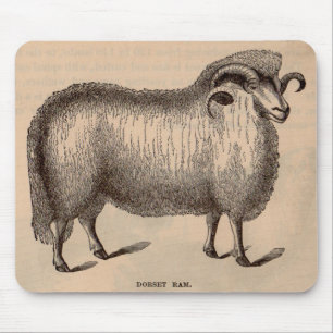 Mousepad impressão do século XIX