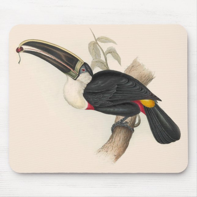 Mousepad Impressão do Tucano-de-bico-preto de Cuvier: Ave T (Frente)