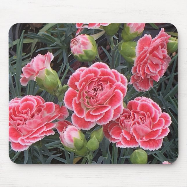 Mousepad Incrível Dianthus (Frente)