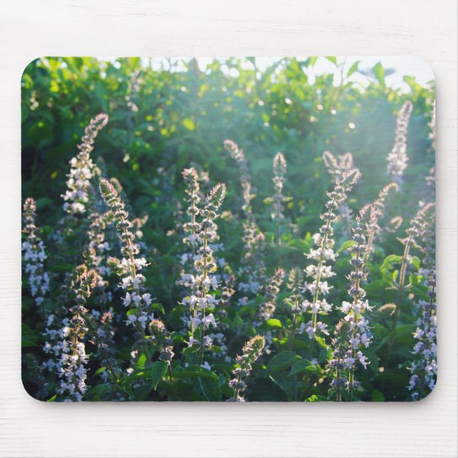 Mousepad indefinido (Frente)