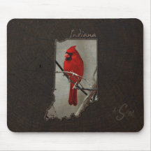 Indiana cardinal cortado no fundo de madeira