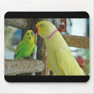 Mousepad Indiano Ringneck e tapete do rato de beijo de
