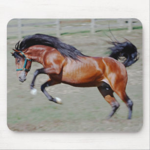 Mousepad Indico VII que alcançam para fora
