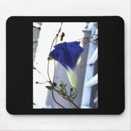 Mousepad Indigo Swirl Morning Glory