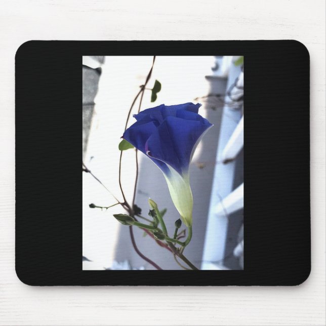 Mousepad Indigo Swirl Morning Glory (Frente)