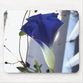 Mousepad Indigo Swirl Morning Glory Close-up