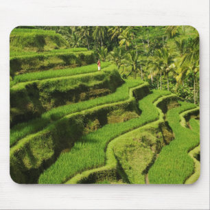 Mousepad Indonésia, Bali Campos de Arroz