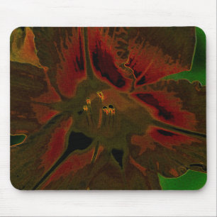 Mousepad Inflorescência de Allium aflatunense