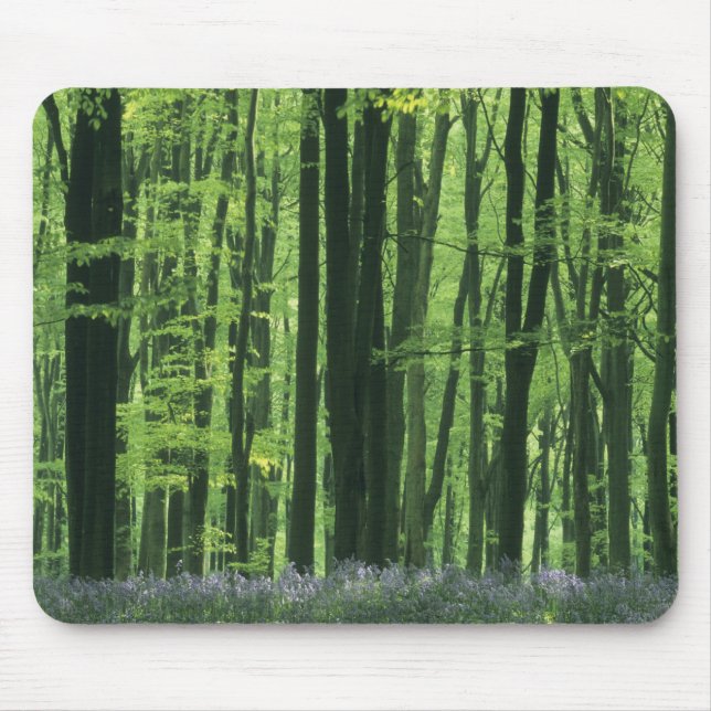 Mousepad Inglaterra, Floresta de faias e campainhas (Frente)