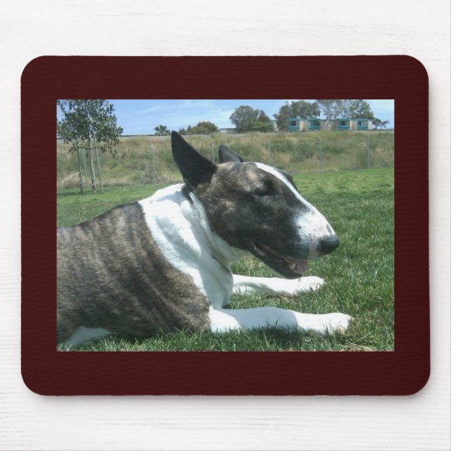 Mousepad Inglês bull terrier (Frente)