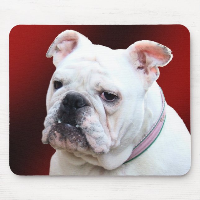Mousepad inglês do buldogue 2 (Frente)