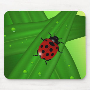 Mousepad Inseto da senhora