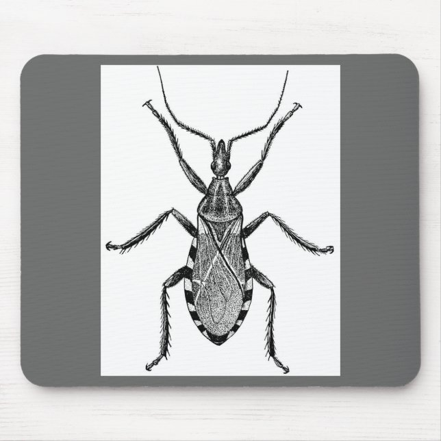 Mousepad Inseto de Conenose - vintage (Frente)