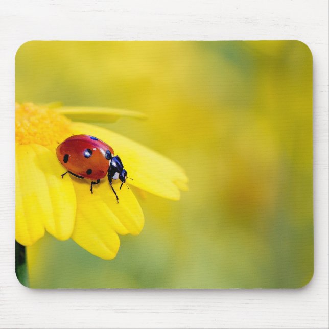 Mousepad inseto, ladybug, flor (Frente)