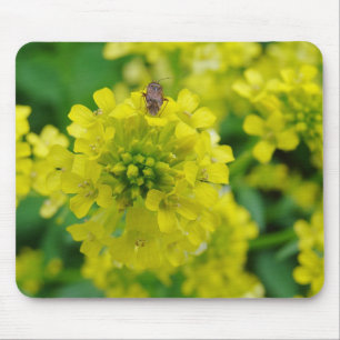 Mousepad Inseto na ventoinha