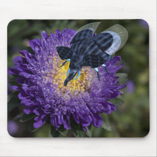Mousepad Inseto Raro de Elefante Azul
