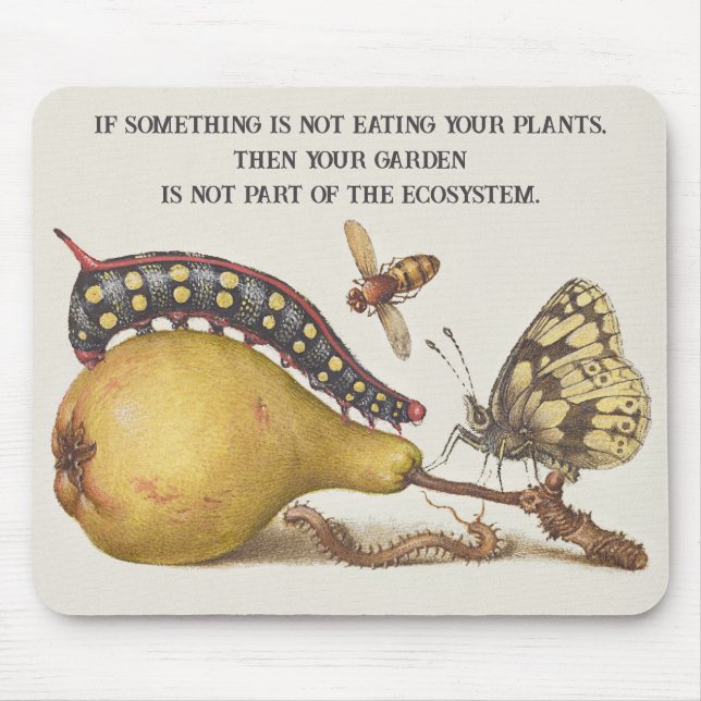 Mousepad Insetos de Jardim, Mosca, Lagarta, Pera, Centopéia (Frente)