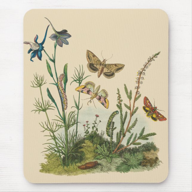 Mousepad Insetos Do Jardim Vintage, Borboletas, lagartas (Frente)