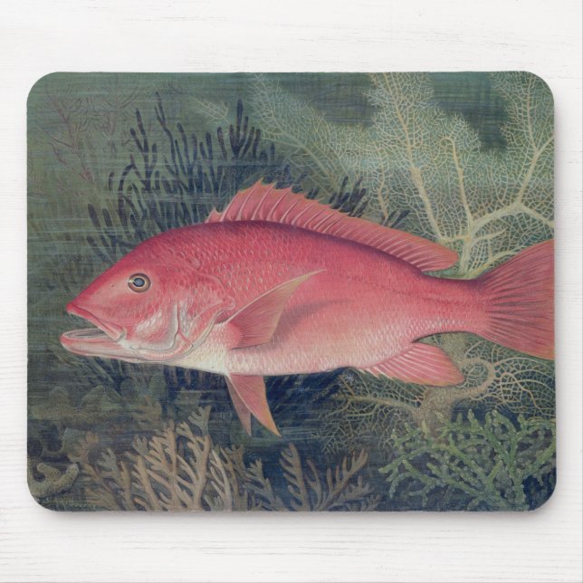 Mousepad Instantâneo Vermelho, de 'Peixes de Jogo dos Estad (Frente)