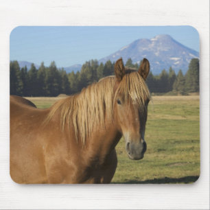 Mousepad Intervalo em Cascata   Chestnut Horse