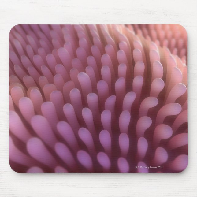 Mousepad Intestinal Villi (Frente)