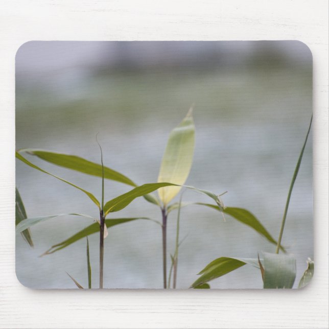 Mousepad inverno está chegando (Frente)