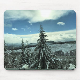 Mousepad Inverno na Floresta Estadual de Tillamook, Oregon