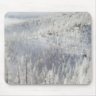 Mousepad Inverno na Floresta Nacional de Pike
