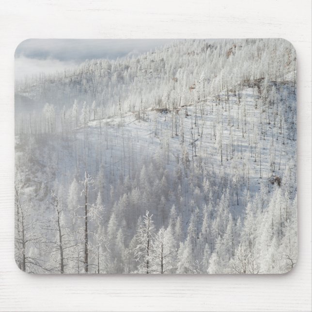 Mousepad Inverno na Floresta Nacional de Pike (Frente)