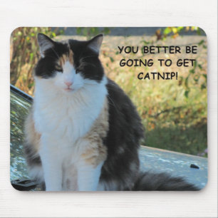 Mousepad Ir à loja? Gato engraçado Meme