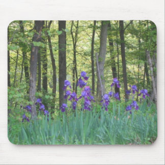 Mousepad íris