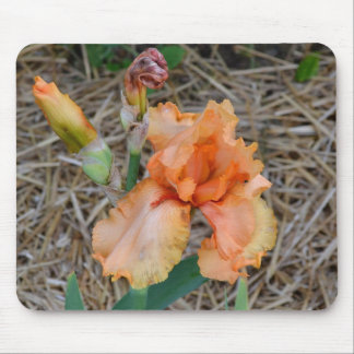 Mousepad - íris alaranjada