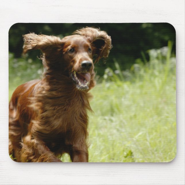 Mousepad Irish Setter (Frente)