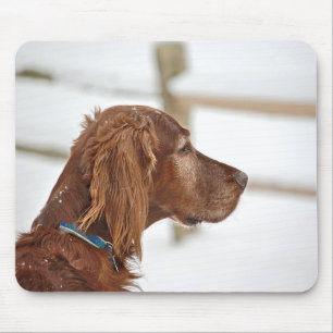 Mousepad Irish Setter em neve