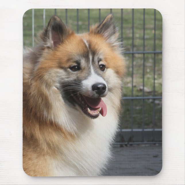 Mousepad Islandhund (Frente)