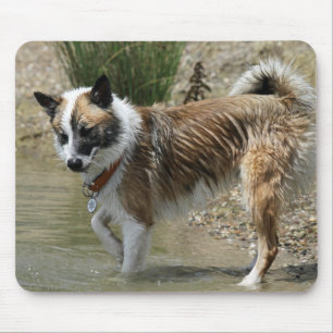 Mousepad Islandhund