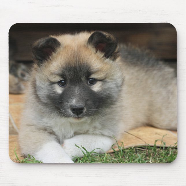 Mousepad Islandhund (Frente)