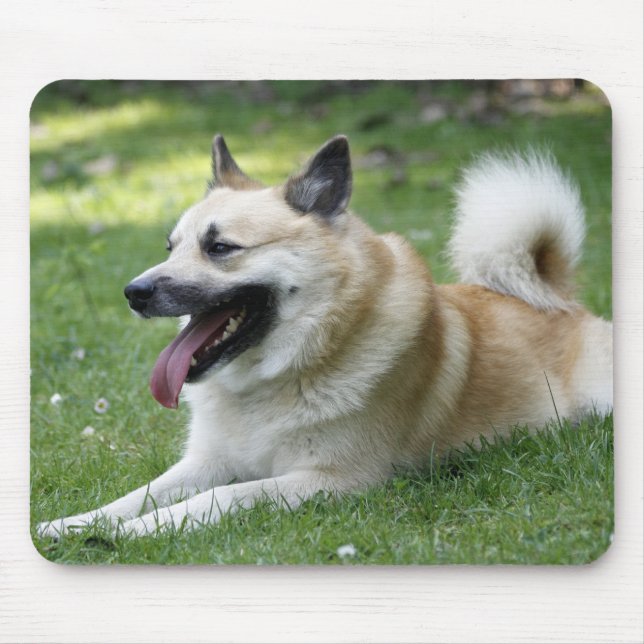 Mousepad Islandhund (Frente)