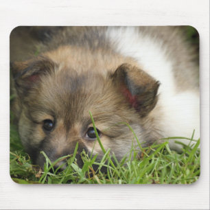 Mousepad Islandhundewelpe